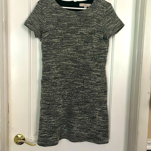Ann Taylor LOFT Women's Gray Knit Short Sleeve Shift Dress Scoop Neck 10p - Picture 1 of 3